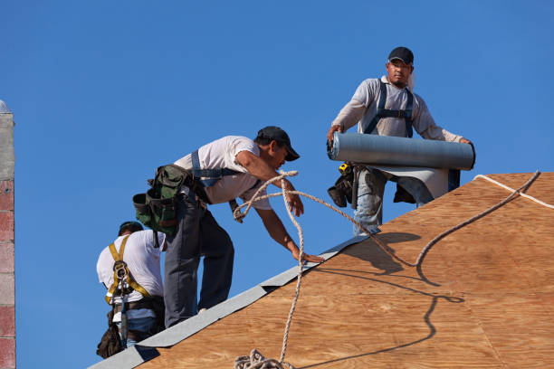 Best Flat Roof Repair Services  in Cameron, TX